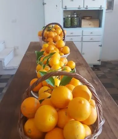 Tatil Evi Casa Savoca Nel Borgo Di Condojanni Condoianni